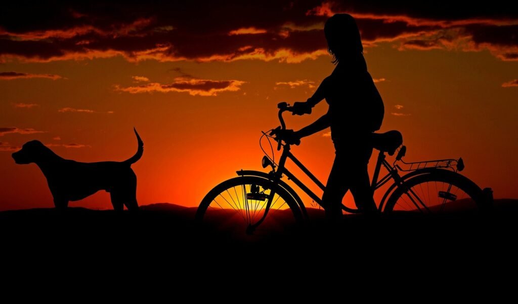 woman, bike, sunset-2711279.jpg